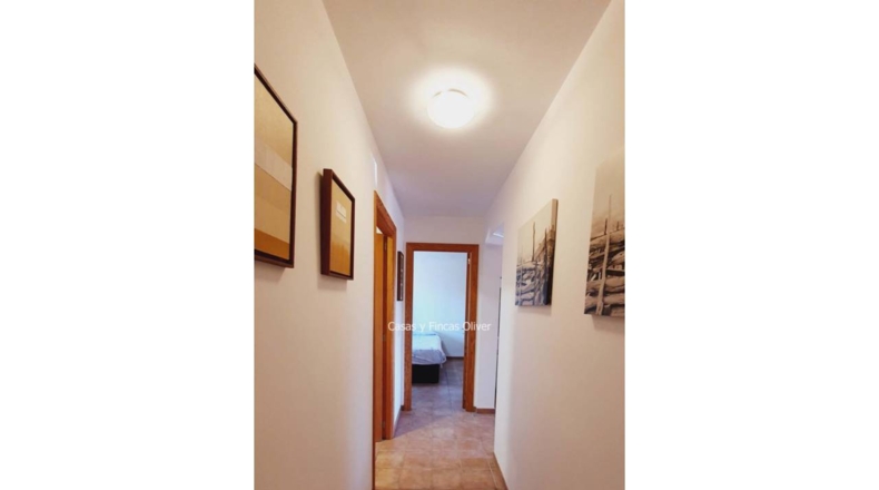 Balearic Islands - Inca - 10426m2