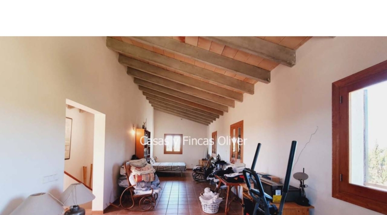 Balearic Islands - Inca - 10426m2