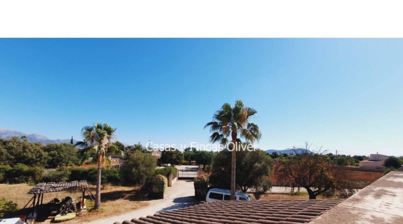 Balearic Islands - Inca - 10426m2