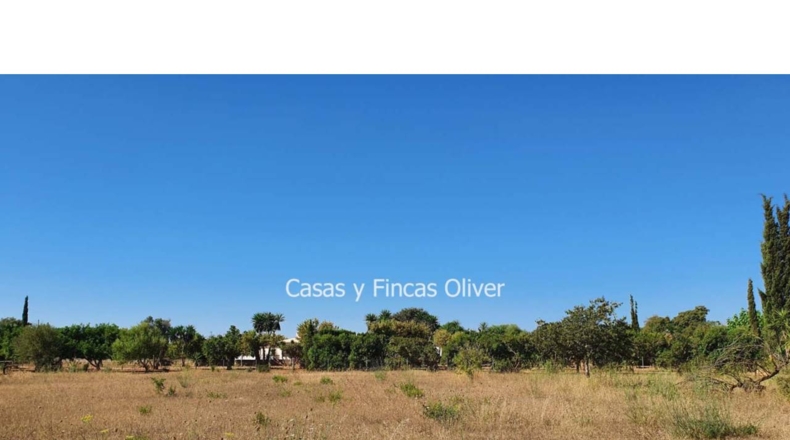 Balearic Islands - Inca - 10426m2