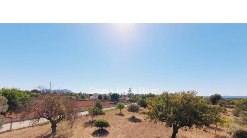 Balearic Islands - Inca - 10426m2