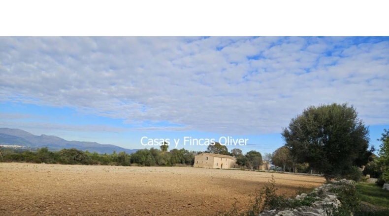 Islas Baleares - Llubí - 17896m2