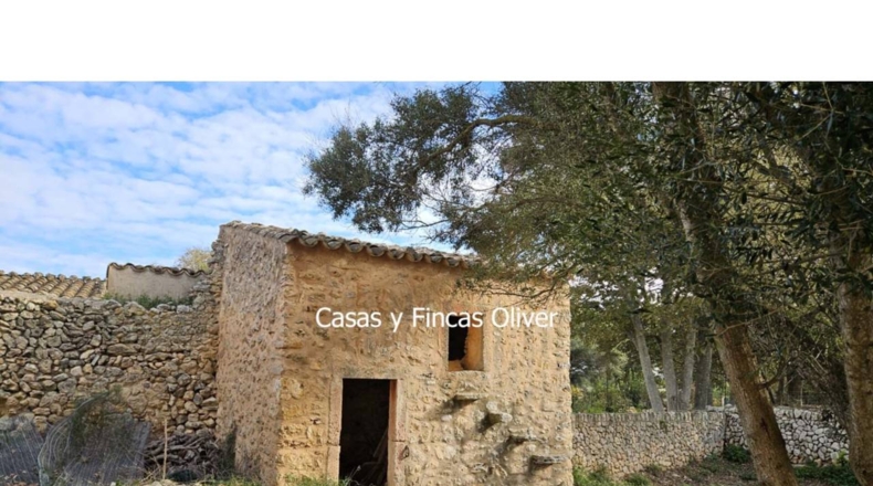 Islas Baleares - Llubí - 17896m2