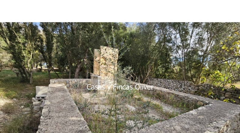 Islas Baleares - Llubí - 17896m2