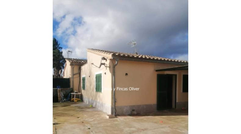 Balearic Islands - Inca - 1485m2