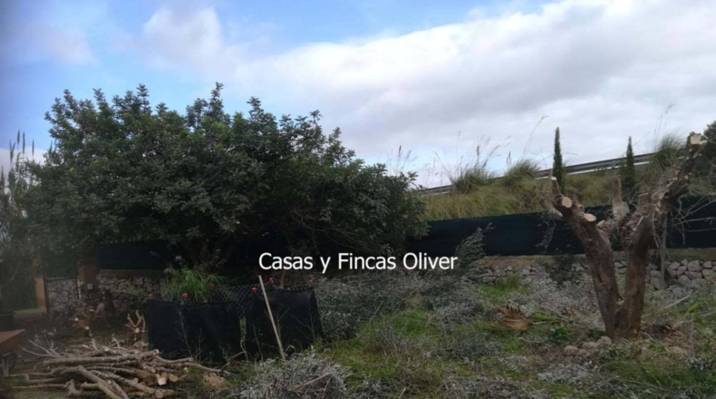 Balearic Islands - Inca - 1485m2