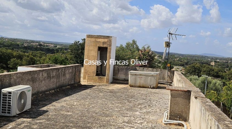Balearic Islands - Llubí - 1757m2