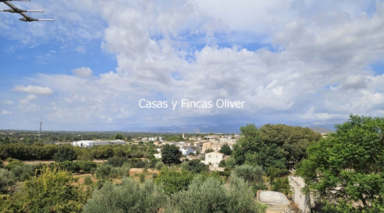 Balearic Islands - Llubí - 1757m2