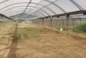 Alcanar 6000&nbsp;м²