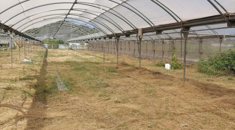 Tarragona - Alcanar - 6000m2