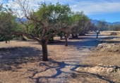 Finca rústica en venta en Tortosa ref: TR339900 foto