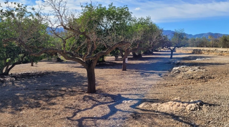 Tarragona - Tortosa - 8000m2