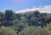 Finca rústica en venta en Tortosa ref: TR339900 foto