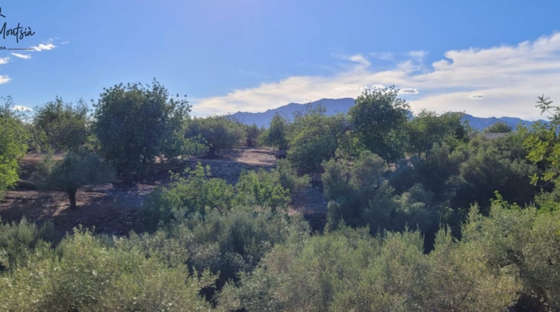 Tarragona - Tortosa - 8000m2