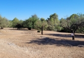 Finca rústica en venta en Tortosa ref: TR339900 foto