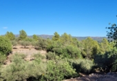 Finca rústica en venta en Tortosa ref: TR339900 foto