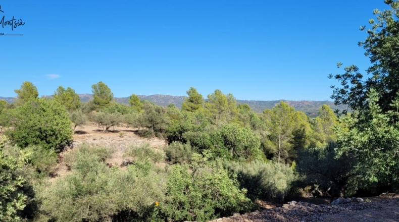 Tarragona - Tortosa - 8000m2