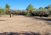 Finca rústica en venta en Tortosa ref: TR339900 foto