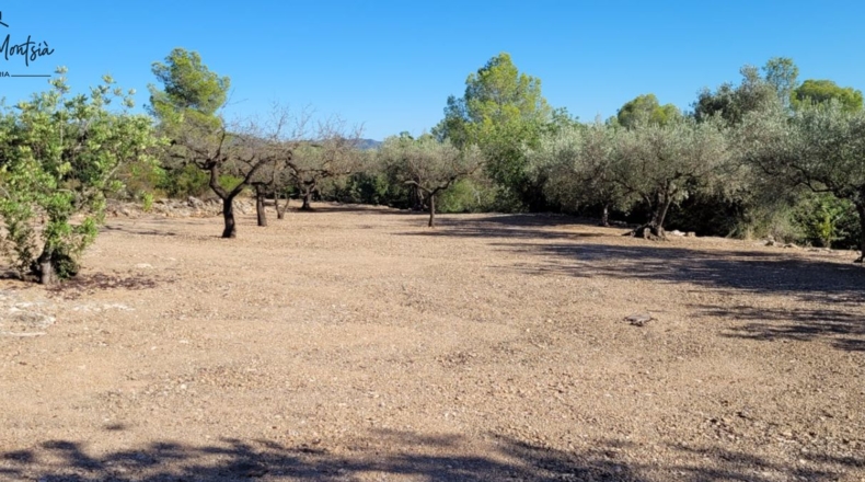 Tarragona - Tortosa - 8000m2