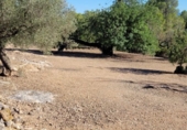 Finca rústica en venta en Tortosa ref: TR339900 foto