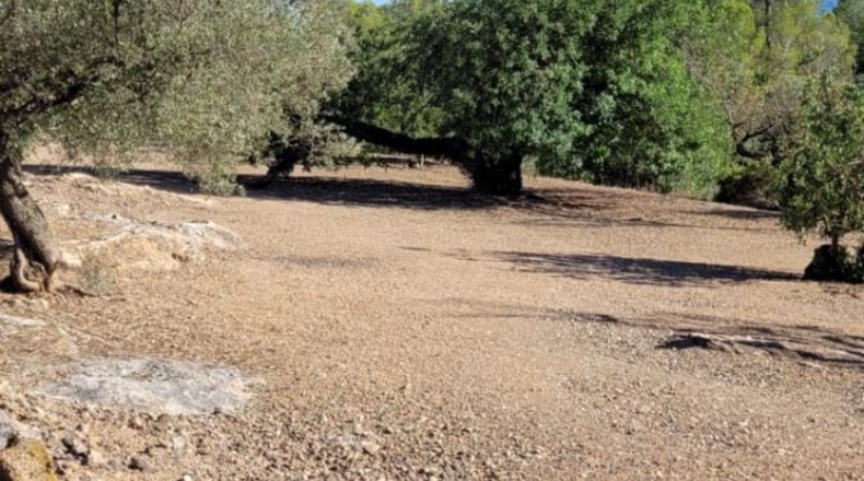 Tarragona - Tortosa - 8000m2