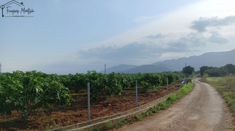 Tarragona - Ульдекона - 11848m2