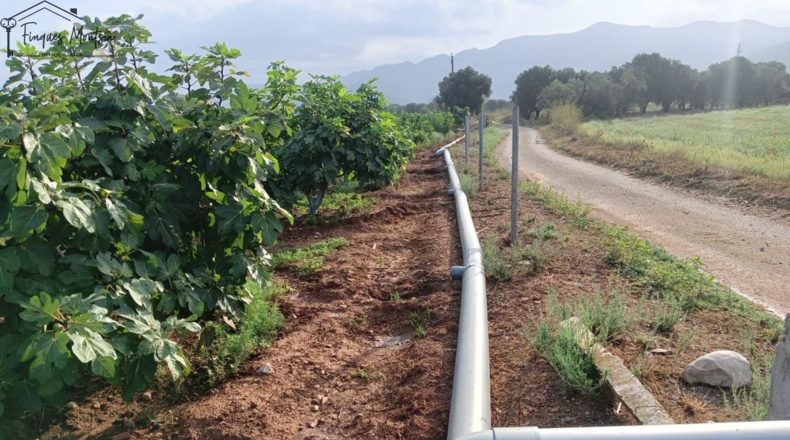 Tarragona - Ульдекона - 11848m2