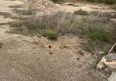 Parcel·la urbanitzable en venda a Deltebre ref.: TR348430 foto