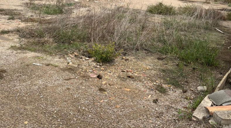 Tarragona - Deltebre - 551m2