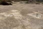 Parcel·la urbanitzable en venda a Deltebre ref.: TR348430 foto