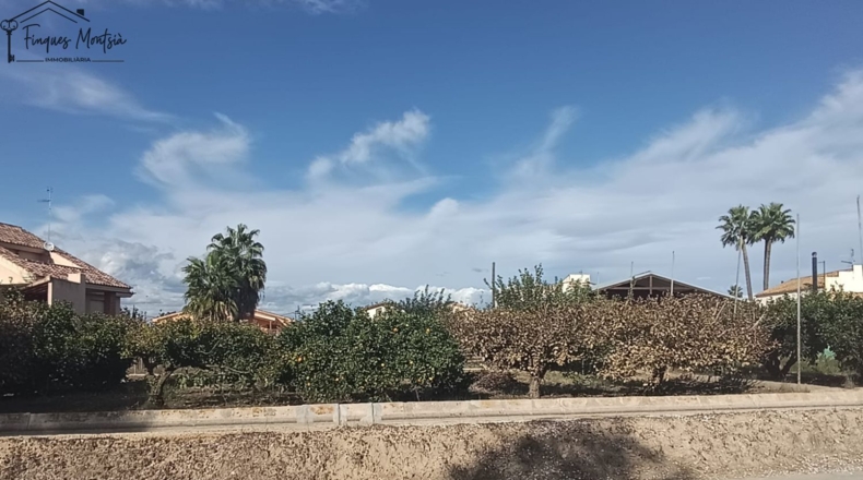 Tarragona - Deltebre - 1667m2