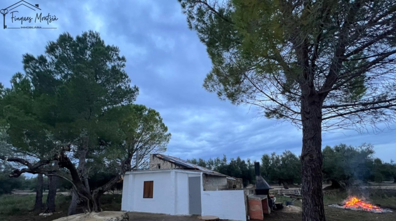 Tarragona - Ulldecona - 14990m2