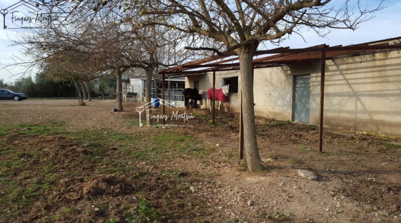 Tarragona - Ulldecona - 115954m2