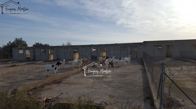 Tarragona - Ulldecona - 115954m2