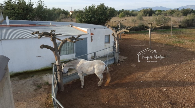 Tarragona - Ulldecona - 115954m2