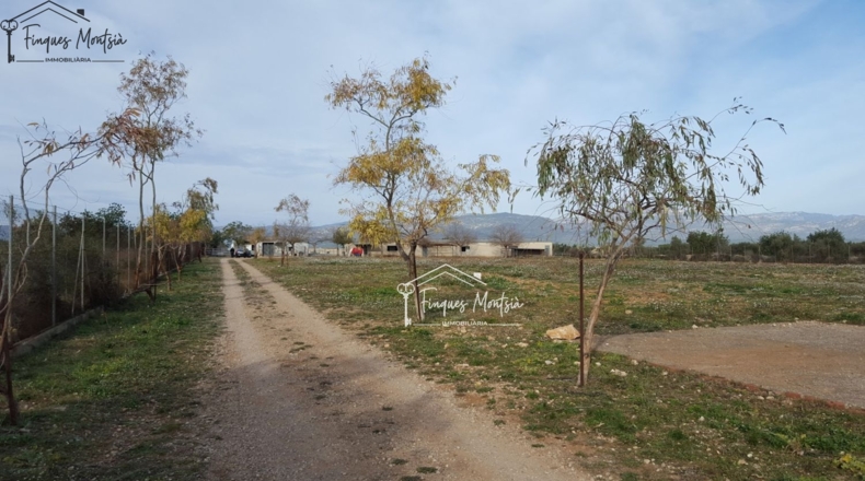 Tarragona - Ulldecona - 115954m2