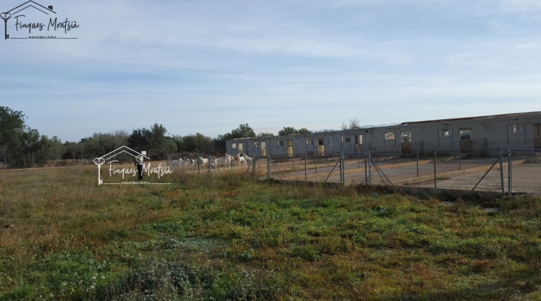 Tarragona - Ulldecona - 115954m2