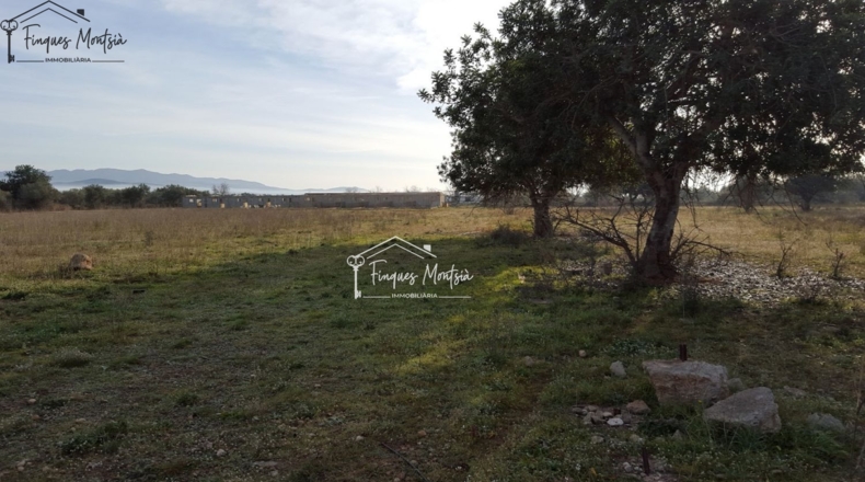 Tarragona - Ulldecona - 115954m2