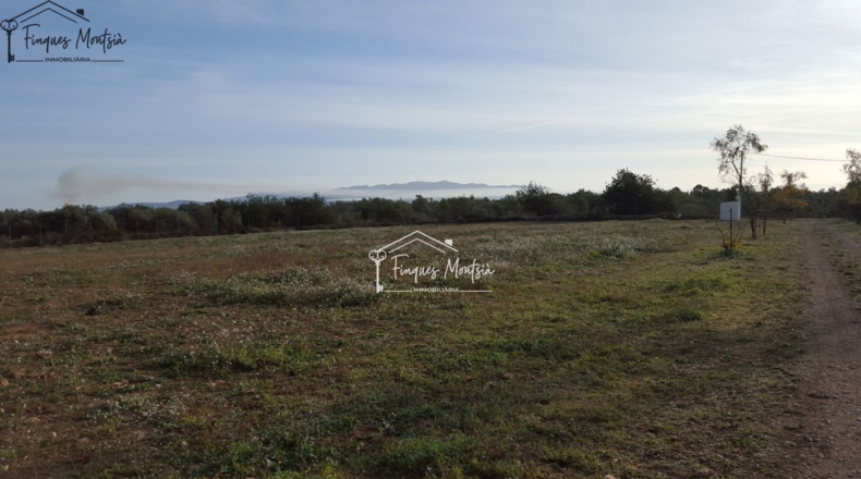 Tarragona - Ulldecona - 115954m2