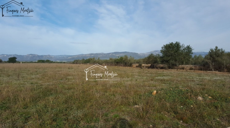 Tarragona - Ulldecona - 115954m2