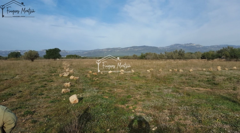 Tarragona - Ulldecona - 115954m2