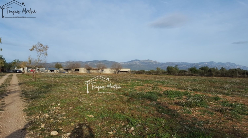 Tarragona - Ulldecona - 115954m2