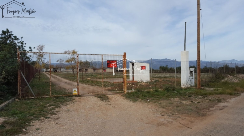 Tarragona - Ulldecona - 115954m2