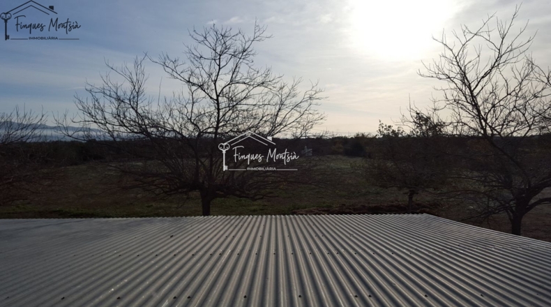 Tarragona - Ulldecona - 115954m2