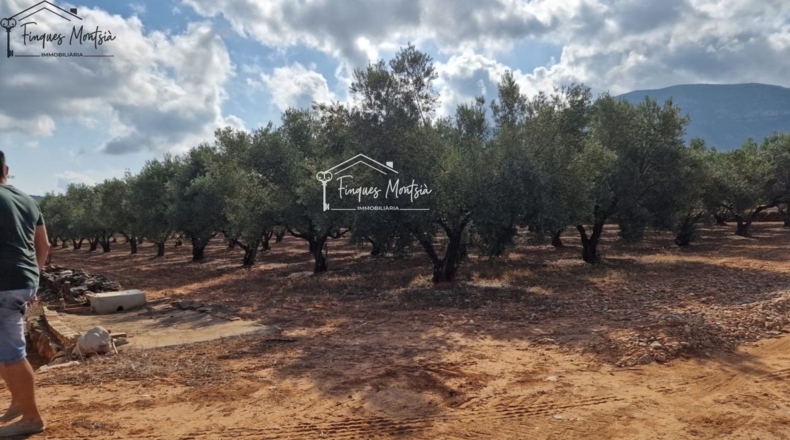 Tarragona - Freginals - 3079m2