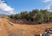 Rural estate for sale in Freginals ref: TR355241 photo