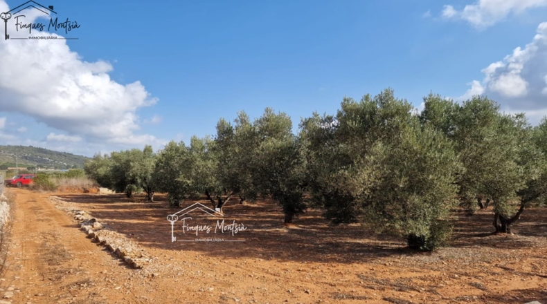 Tarragona - Freginals - 3079m2