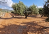 Rural estate for sale in Freginals ref: TR355241 photo