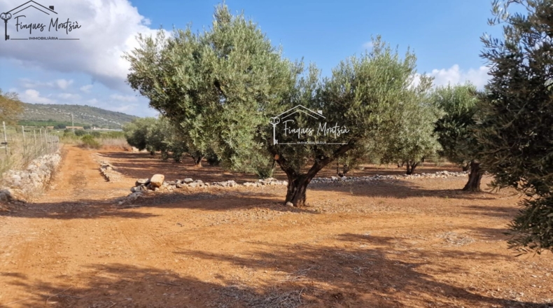 Tarragona - Freginals - 3079m2