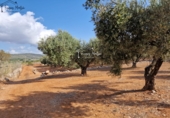 Rural estate for sale in Freginals ref: TR355241 photo